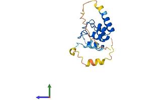 AlphaFold protein structure predicition of Human Recombinant ANKRD37 Protein, UniprotID Q7Z713