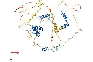 AlphaFold protein structure predicition of Human Recombinant NUSAP1 Protein, UniprotID Q9BXS6