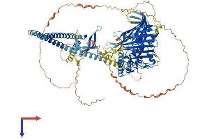 AlphaFold protein structure predicition of Mouse Recombinant Osbp2 Protein, UniprotID Q5QNQ6