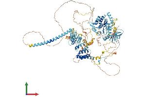 AlphaFold protein structure predicition of Mouse Recombinant Bub1b Protein, UniprotID Q9Z1S0