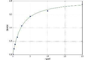 A typical standard curve