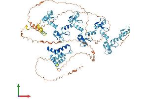 AlphaFold protein structure predicition of Human Recombinant ZKSCAN7 Protein, UniprotID Q9P0L1