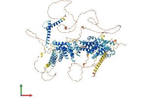 AlphaFold protein structure predicition of Mouse Recombinant Srebf1 Protein, UniprotID Q9WTN3