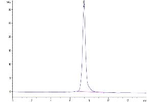 The purity of Mouse LTBR is greater than 95 % as determined by SEC-HPLC.