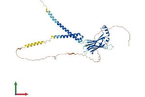 AlphaFold protein structure predicition of Human Recombinant BSCL2 Protein, UniprotID Q96G97