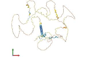 AlphaFold protein structure predicition of Human Recombinant PAG1 Protein, UniprotID Q9NWQ8