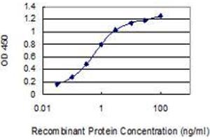 Detection limit for recombinant GST tagged KIAA1143 is 0.