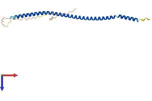 AlphaFold protein structure predicition of Mouse Recombinant Mcemp1 Protein, UniprotID Q9D8U6