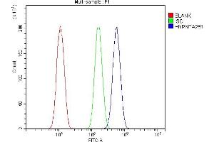 Flow Cytometry analysis of A431 cells using anti-hnRNP A2B1 antibody (ABIN5692872).