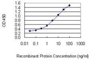 Detection limit for recombinant GST tagged C13orf15 is 0.
