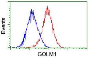 Image no. 7 for anti-Golgi Membrane Protein 1 (GOLM1) antibody (ABIN1498491)