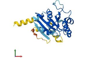 AlphaFold protein structure predicition of Mouse Recombinant Sar1b Protein, UniprotID Q9CQC9