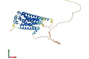 AlphaFold protein structure predicition of Mouse Recombinant S1pr5 Protein, UniprotID Q91X56
