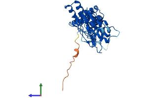 AlphaFold protein structure predicition of Human Recombinant ASB9 Protein, UniprotID Q96DX5