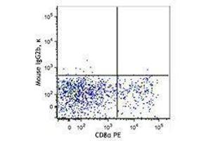 Flow Cytometry (FACS) image for anti-Chemokine (C Motif) Receptor 1 (XCR1) antibody (Biotin) (ABIN2660786)