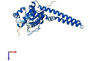 AlphaFold protein structure predicition of Human Recombinant GIMAP7 Protein, UniprotID Q8NHV1