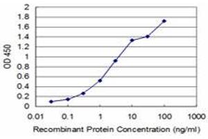 ELISA image for anti-Bol, Boule-Like (BOLL) (AA 185-284) antibody (ABIN599301) (BOLL anticorps  (AA 185-284))