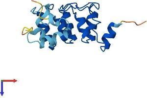 AlphaFold protein structure predicition of Human Recombinant PPP1R27 Protein, UniprotID Q86WC6
