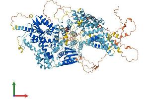 AlphaFold protein structure predicition of Mouse Recombinant Ttc41 Protein, UniprotID Q692V3