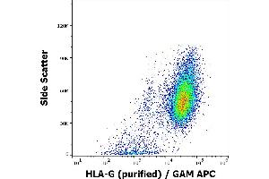 Flow cytometry intracellular staining pattern of HLA-G transfected HEK-293 cells using anti-human HLA-G (2A12) purified antibody (concentration in sample 4 μg/mL) GAM APC. (HLAG anticorps  (C-Term))