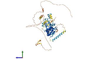 AlphaFold protein structure predicition of Human Recombinant NT5C1B Protein, UniprotID Q96P26