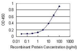 Detection limit for recombinant GST tagged MFN1 is 0.