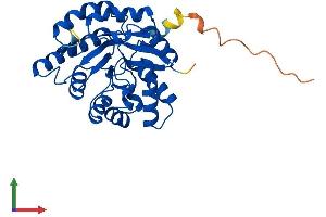 AlphaFold protein structure predicition of Mouse Recombinant Tatdn3 Protein, UniprotID Q3U1C6