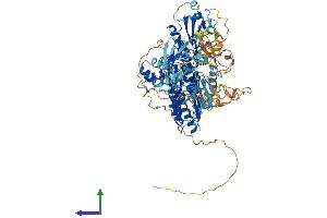 AlphaFold protein structure predicition of Mouse Recombinant Nlrp1b Protein, UniprotID Q2LKV2