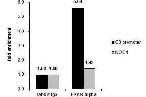 ChIP Image Cross-linked ChIP was performed with HepG2 chromatin extract and 5 μg of either control rabbit IgG or anti-PPAR alpha antibody.