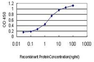 Detection limit for recombinant GST tagged UBE2E2 is approximately 0. (UBE2E2 anticorps  (AA 1-201))