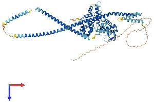 AlphaFold protein structure predicition of Mouse Recombinant Tsnaxip1 Protein, UniprotID Q99P25
