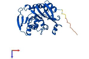 AlphaFold protein structure predicition of Human Recombinant TPMT Protein, UniprotID P51580