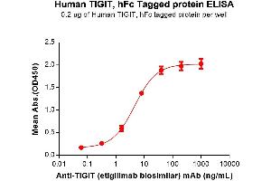 ELISA plate pre-coated by 2 μg/mL (100 μL/well) Human TIGIT Protein, hFc Tag (ABIN6961144, ABIN7042317 and ABIN7042318) can bind Anti-TIGIT (etigilimab biosimilar) mAb (ABIN6964437 and ABIN7272573) in a linear range of 0.