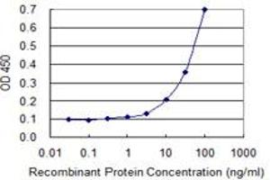 Detection limit for recombinant GST tagged BHLHE41 is 1 ng/ml as a capture antibody.