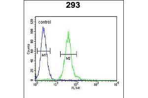 Flow cytometric analysis of 293 cells (right histogram) compared to a negative control cell (left histogram). (M-CSF/CSF1 anticorps  (AA 230-257))