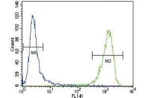 Alpha Actin antibody flow cytometric analysis of CEM cells (green) compared to a negative control (blue).