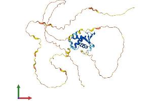 AlphaFold protein structure predicition of Human Recombinant FOXI1 Protein, UniprotID Q12951