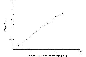Typical standard curve (BRAF Kit ELISA)