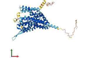 AlphaFold protein structure predicition of Human Recombinant SLC1A4 Protein, UniprotID P43007
