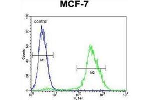 Fow cytometric analysis of MCF-7 cells using PMPCA Antibody (C-term) Cat. (PMPCA anticorps  (C-Term))