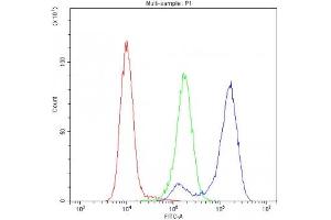 Flow cytometry testing of human K562 cells with Cytochrome C antibody at 1ug/10^6 cells (blocked with goat sera) (Cytochrome C anticorps  (AA 2-105))