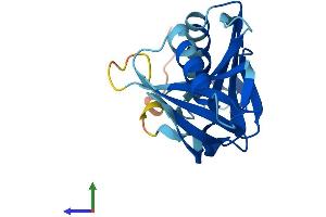 AlphaFold protein structure predicition of Mouse Recombinant Hebp1 Protein, UniprotID Q9R257
