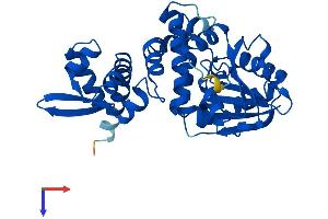 AlphaFold protein structure predicition of Human Recombinant ASMT Protein, UniprotID P46597