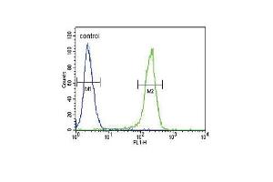 CCR7 Antibody (N-term) (ABIN651190 and ABIN2840119) flow cytometric analysis of 293 cells (right histogram) compared to a negative control cell (left histogram). (CCR7 anticorps  (N-Term))