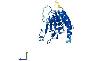 AlphaFold protein structure predicition of Mouse Recombinant Alg14 Protein, UniprotID Q9D081