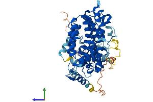 AlphaFold protein structure predicition of Human Recombinant SESN1 Protein, UniprotID Q9Y6P5