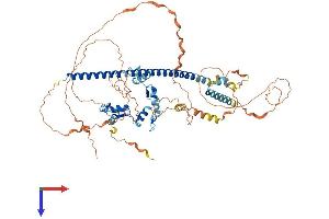 AlphaFold protein structure predicition of Human Recombinant ZNF282 Protein, UniprotID Q9UDV7