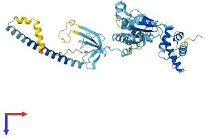 AlphaFold protein structure predicition of Human Recombinant PSMC3 Protein, UniprotID P17980