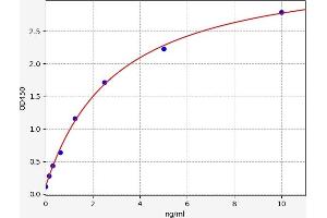 Typical standard curve
