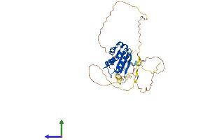 AlphaFold protein structure predicition of Mouse Recombinant Tob1 Protein, UniprotID Q61471